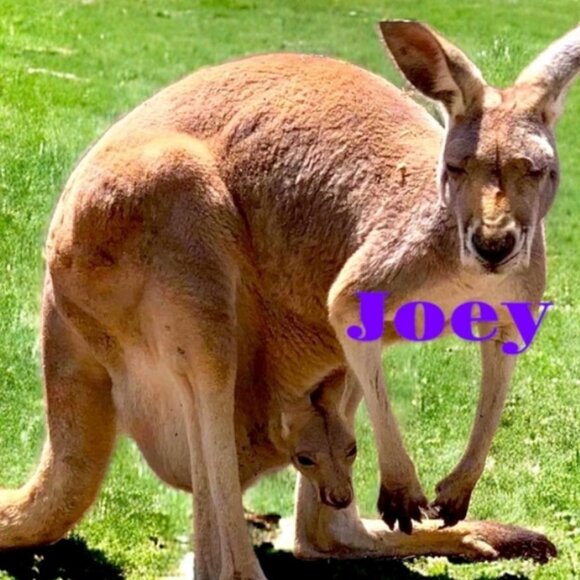 Apron Brown with Hot Pink/Red Polka Dots Cooking BBQ Baking Gift idea - Picture 6 of 6